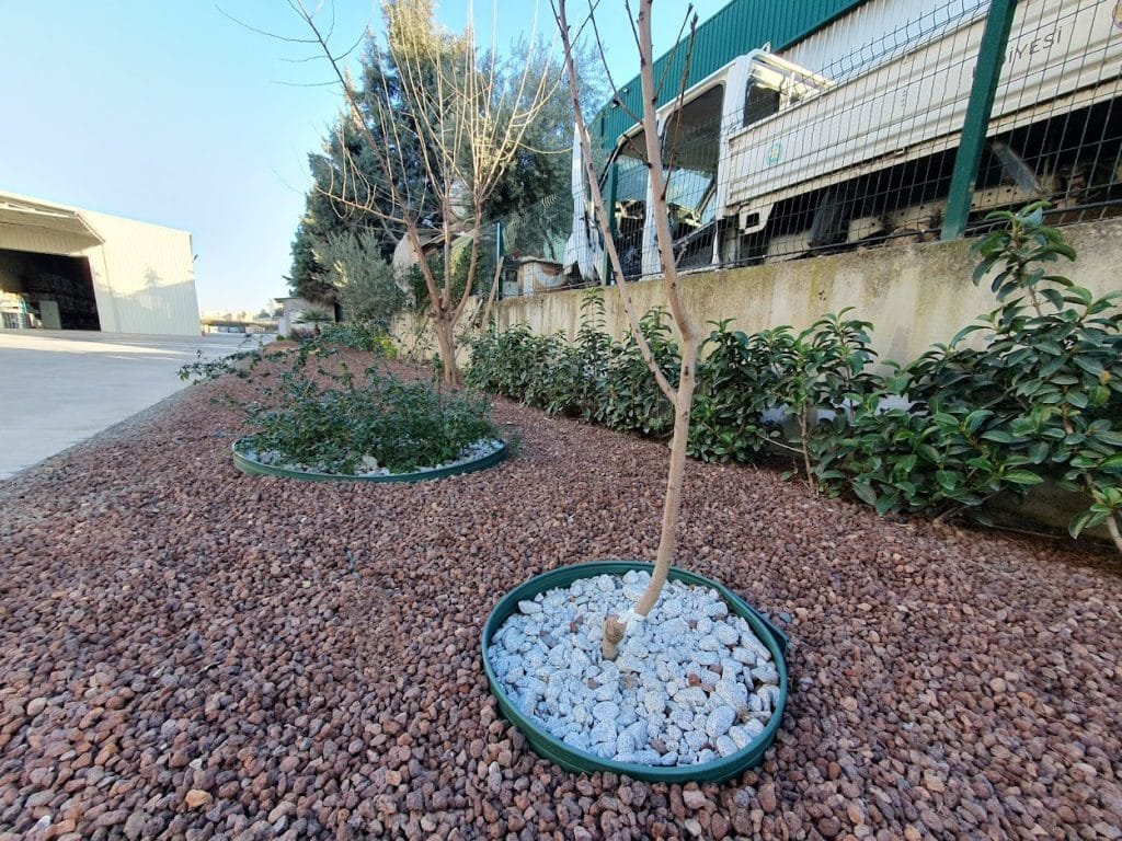 20230216-173112-kopya-1-1